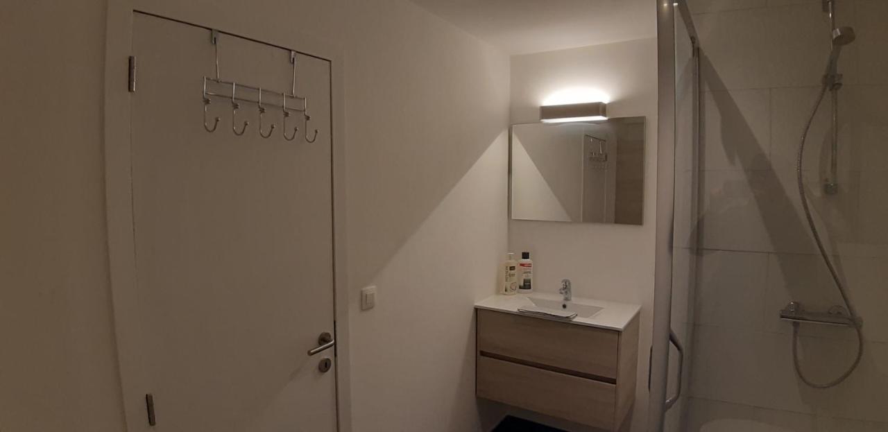 Appartement Duplex Pour 3-4 Personnes A シネイ エクステリア 写真