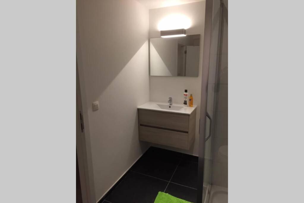 Appartement Duplex Pour 3-4 Personnes A シネイ エクステリア 写真