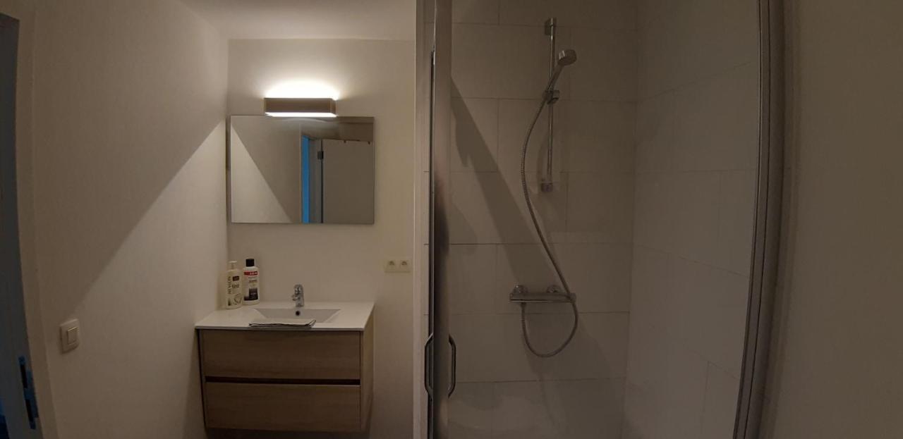 Appartement Duplex Pour 3-4 Personnes A シネイ エクステリア 写真