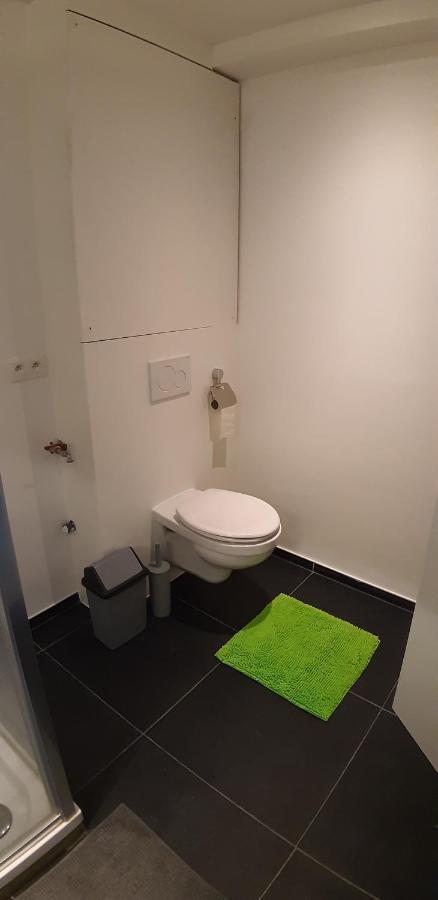Appartement Duplex Pour 3-4 Personnes A シネイ エクステリア 写真