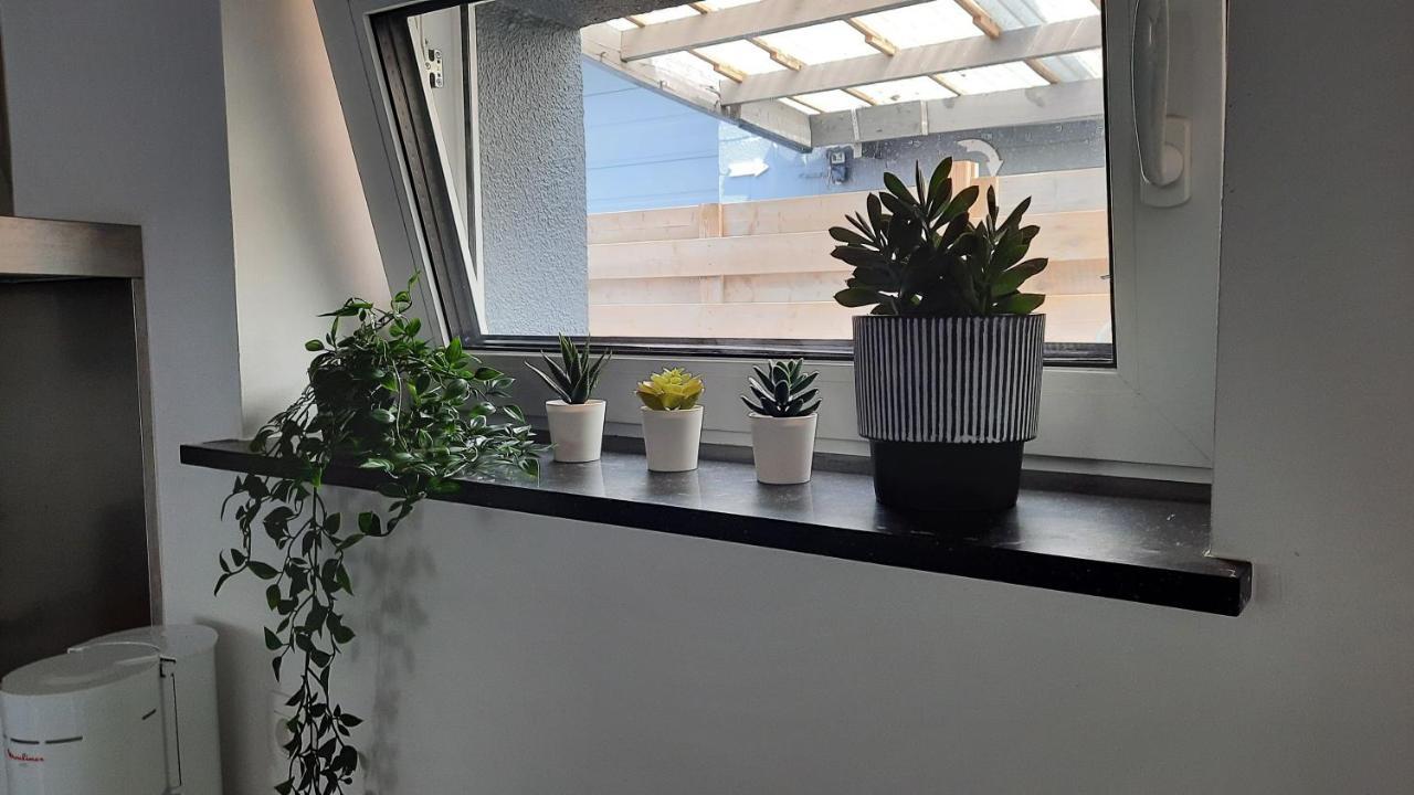 Appartement Duplex Pour 3-4 Personnes A シネイ エクステリア 写真